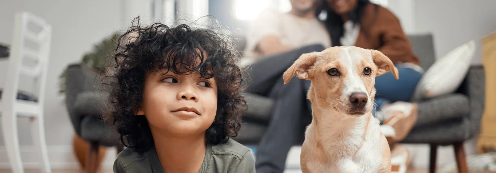 Can Furnaces Catch Fire? blog image