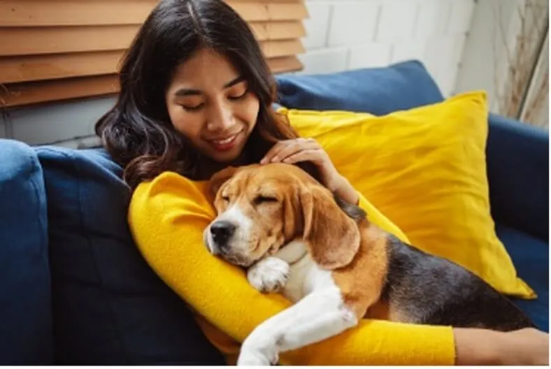 HVAC Maintenance Tips for Pet Owners blog image