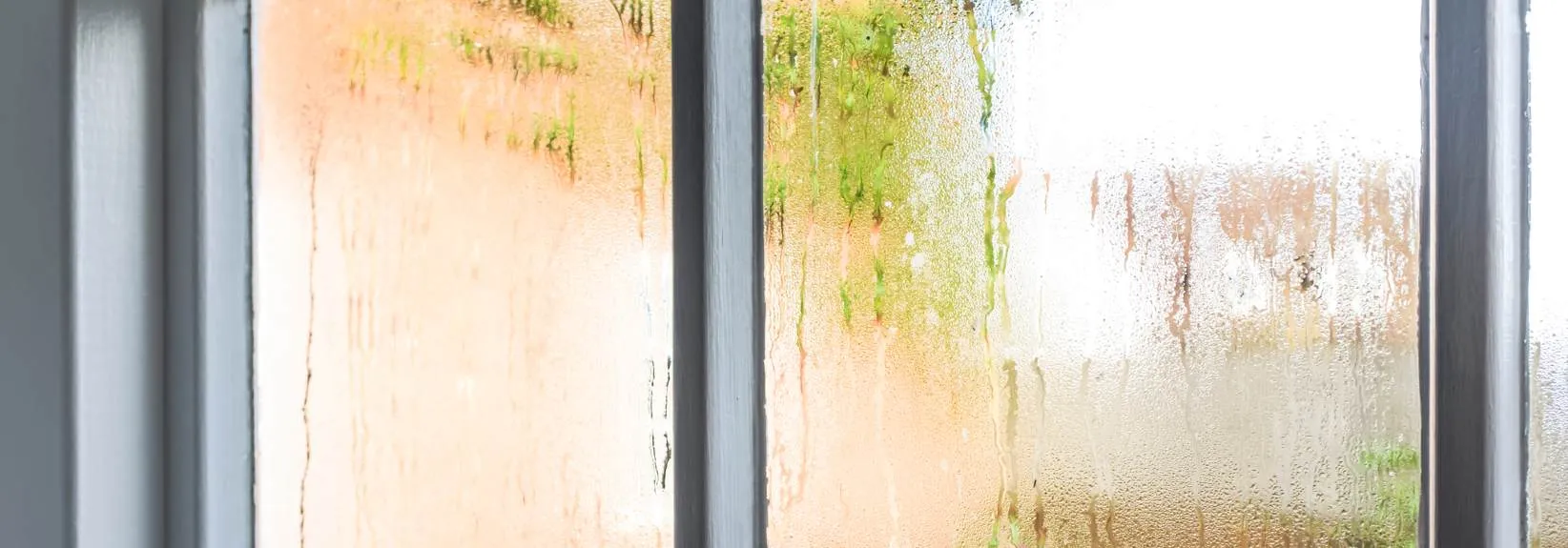 Can You Reduce Humidity by Running the Air Conditioner? blog image