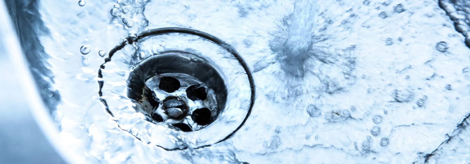 Why Are There Fruit Flies in My Kitchen Sink Drain? blog image