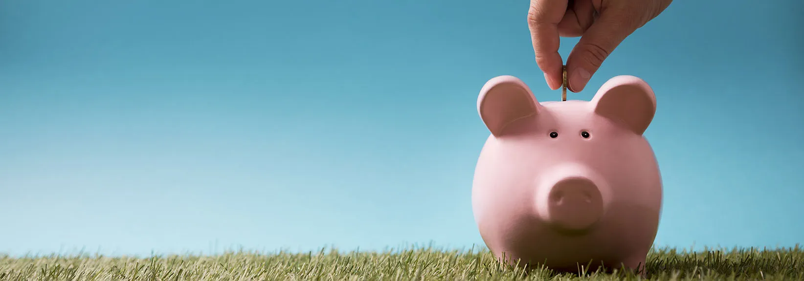 4 Tips for Saving Energy in Windsor This Summer  blog image